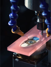 SUNGLASSES SS25 | Pinko