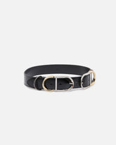Shiny leather belt with metal loops, 4 cm -  | Pinko
