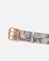 Belt with python print, 4 cm -  | Pinko